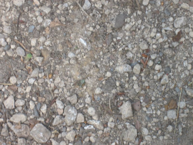 Kieselmosaik 002.jpg