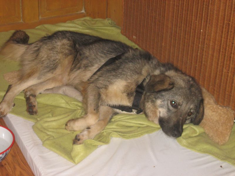 Amy 07142.jpg