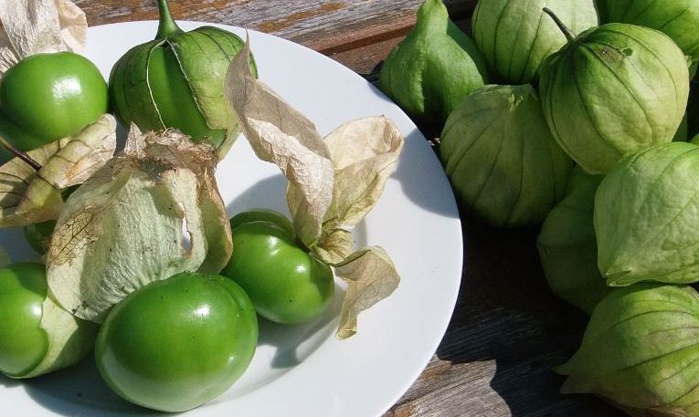 tomatillo verde.JPG