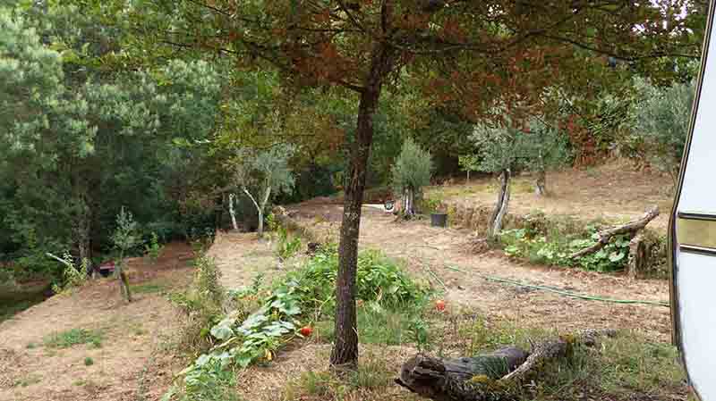 garten_01.jpg