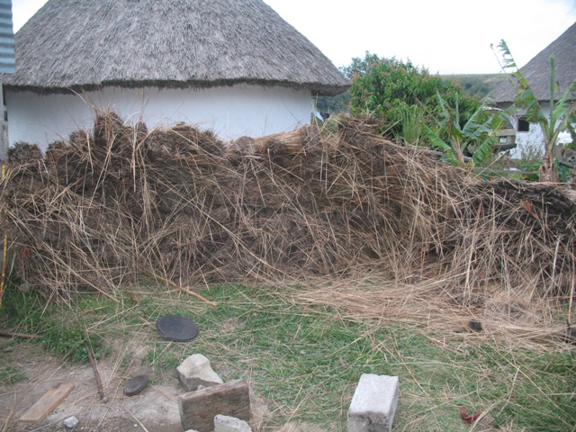 berge grass.JPG