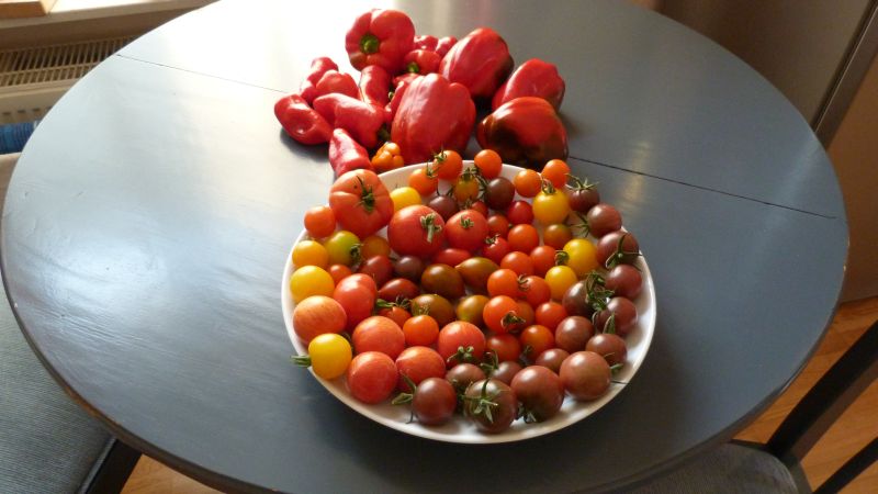 P1080060.jpg