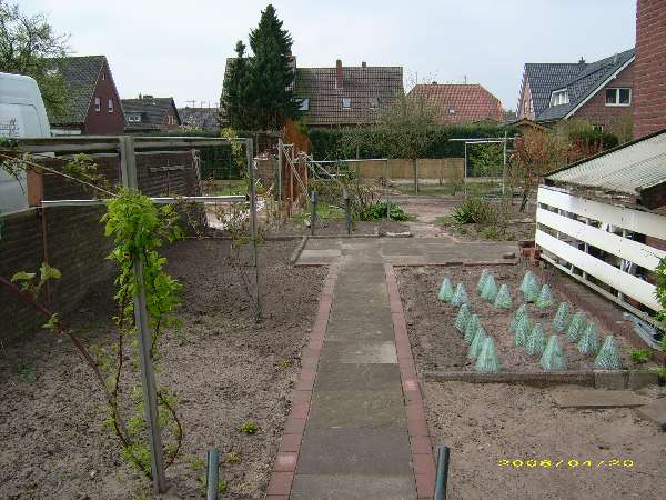 image26.jpg