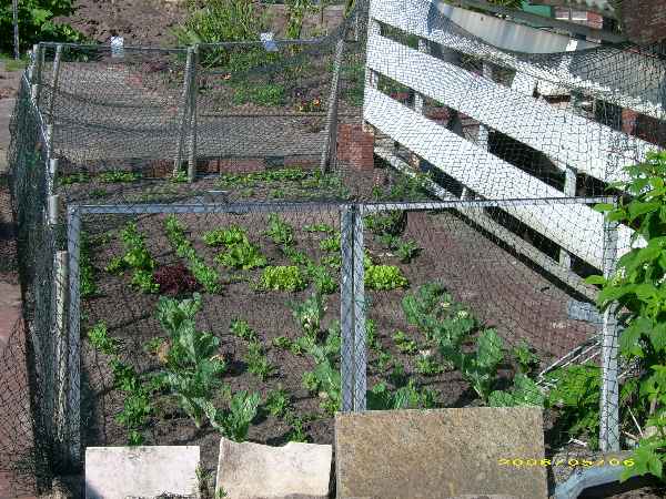 image35.jpg
