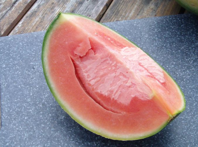 wassermelone rot.JPG