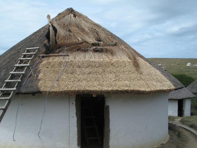 new thatch_4.JPG