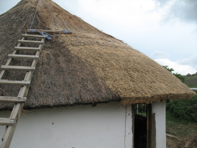 new thatch_5.JPG