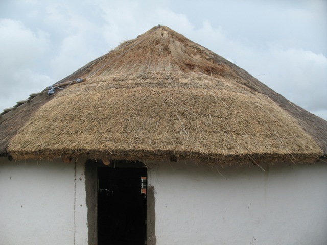 new thatch_6.JPG