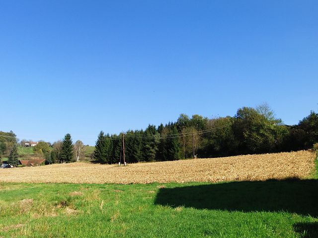 weide jungfraeulich.JPG