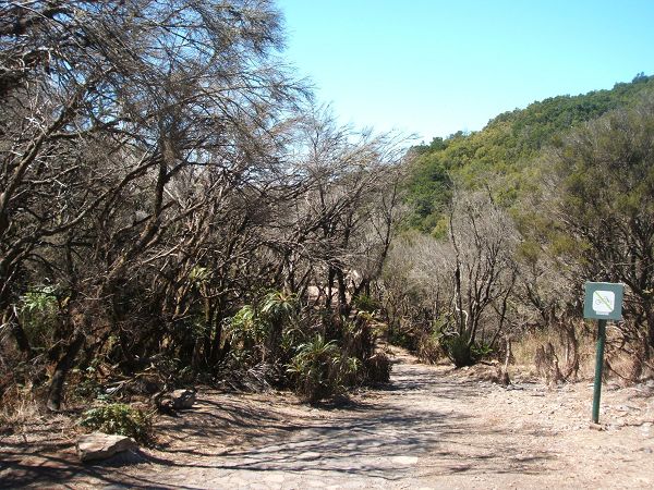 k-lorbeerwald_schwarz.jpg