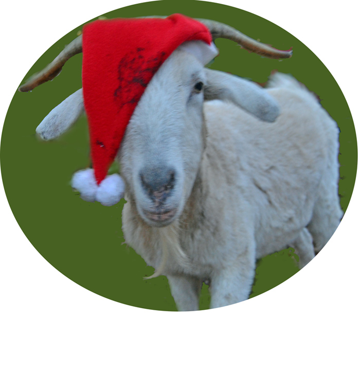 DSC_0096c Kopie-256a.jpg