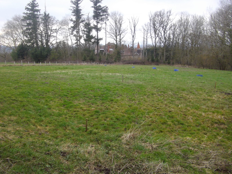 Tom_Fougerette Garten.jpg