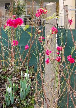 2014 14 12 (7) Kopie.jpg