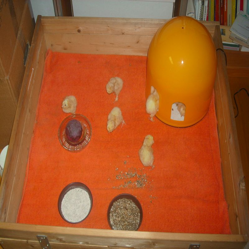 k-DSCI1307.JPG
