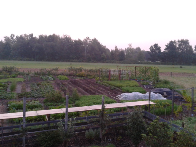 2014-08-21 06.20.28.jpg