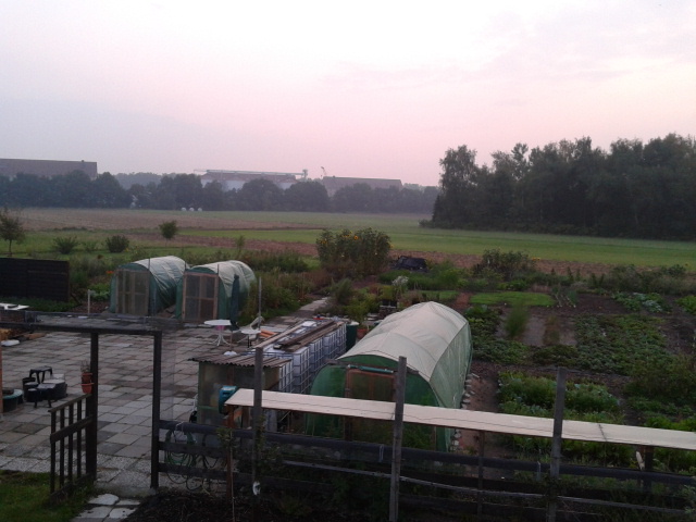 2014-08-21 06.20.18.jpg