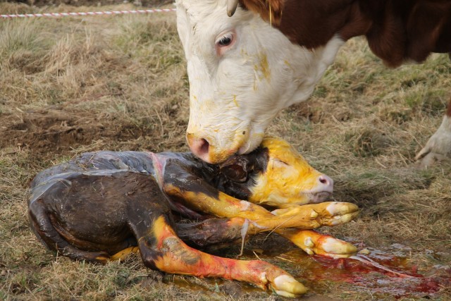 Beim &quot;Auspacken&quot; und Trockenlegen