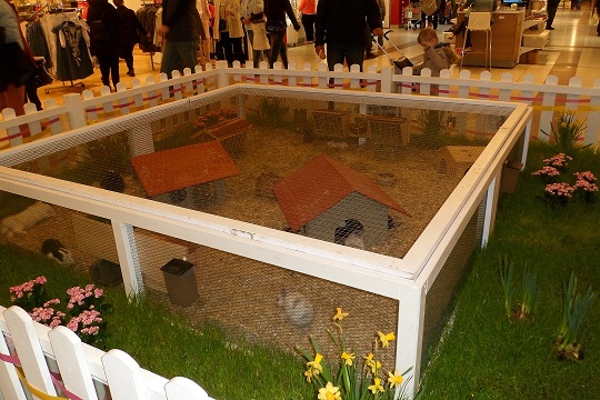 nürnberg ostern 010a..jpg