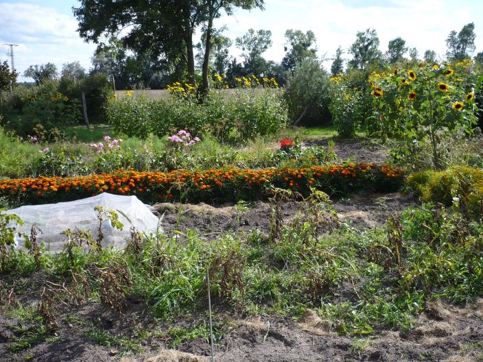 12.8.12 Garten halb.jpg