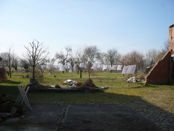 Blick vom Hof nach hinten.jpg