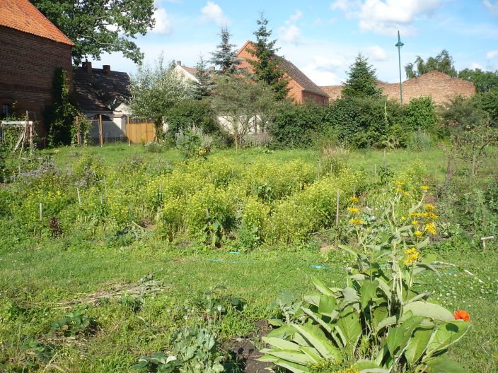 Andere Straßenseite,  Nachbarn.jpg