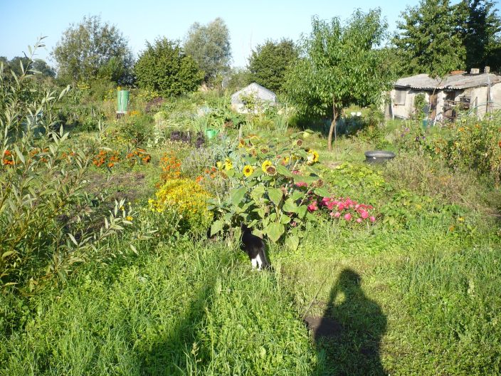 August 2011.jpg