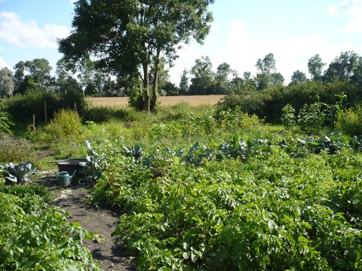 vom Garten ins Feld Süden.jpg