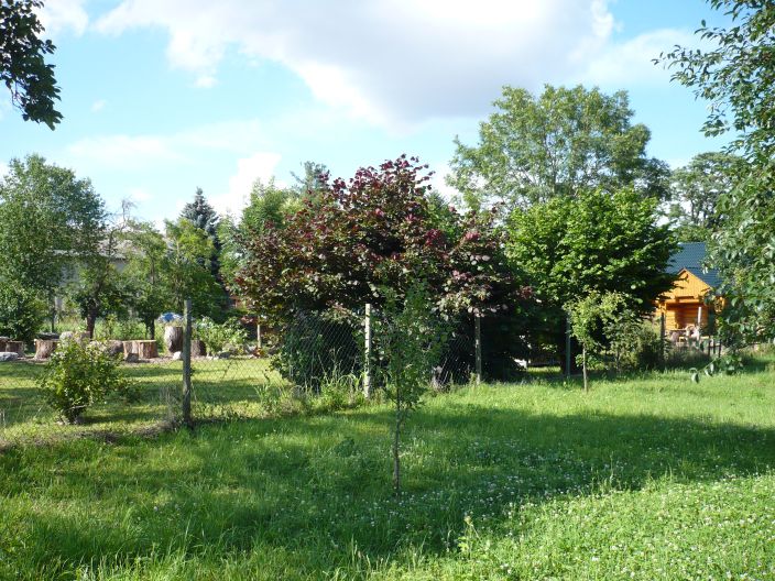 zum Nachbargarten hin.jpg