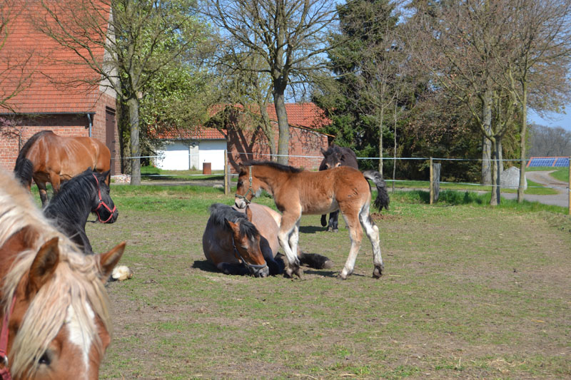 dir anderen brechen einfach zusammen!!
