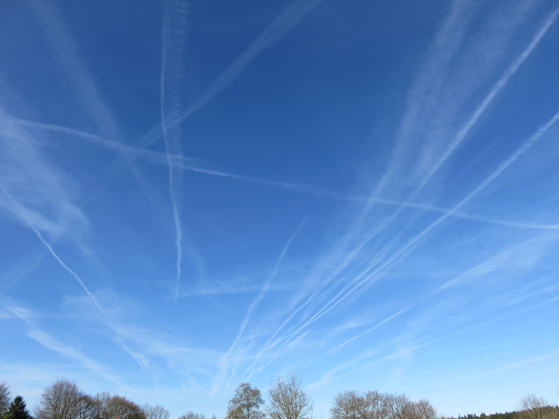 Sehr viele verschiedene Flugrouten
