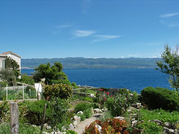Garten auf den Klippen