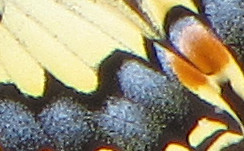 Raetsel.jpg