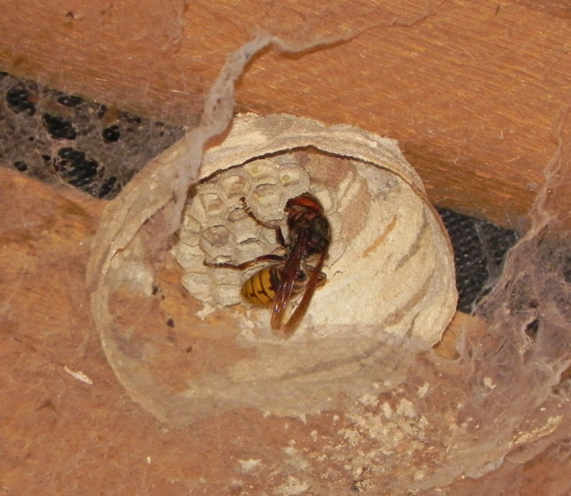 DSCN6138.JPG