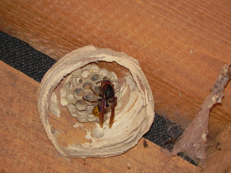 DSCN6220.JPG