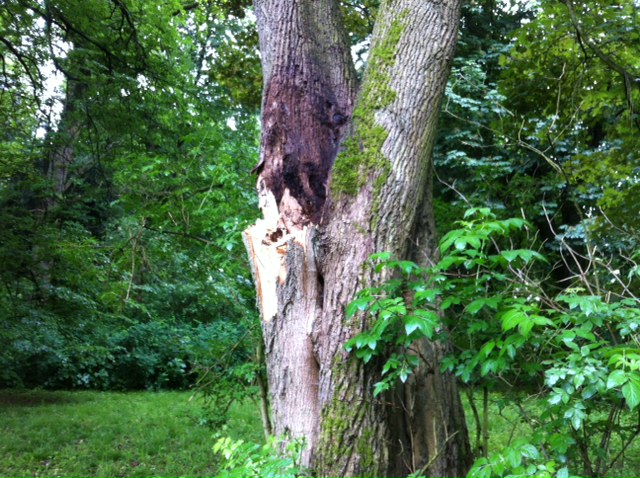 Foto 3.JPG