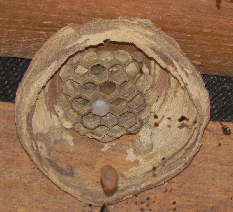 DSCN6264.JPG