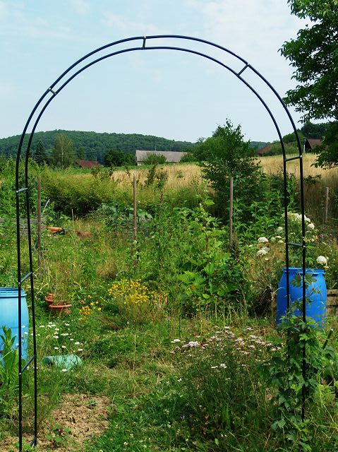gemüsegarten.JPG