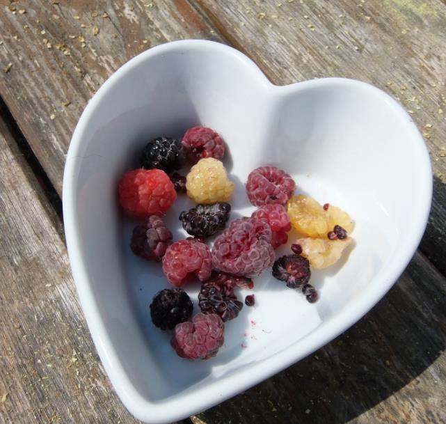 himbeeren.jpg