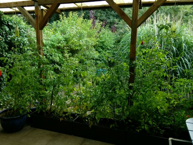 mit paketband umwickelt hochgezogen