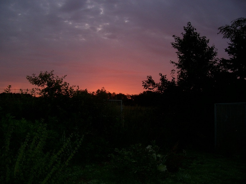 100_0799.JPG