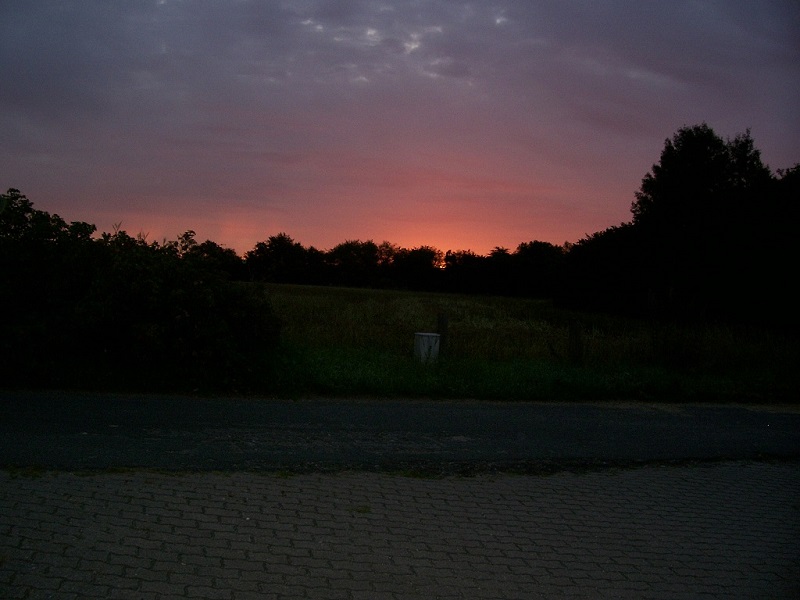100_0800.JPG