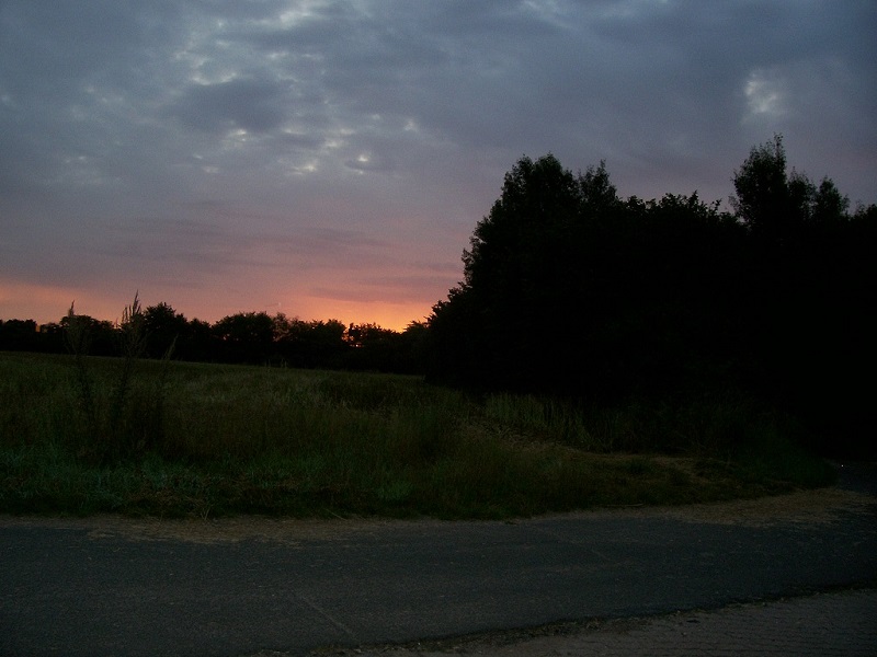 100_0805.JPG
