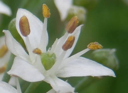 PA280004.JPG