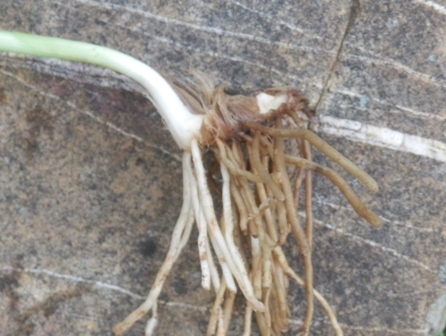 PA310005.JPG