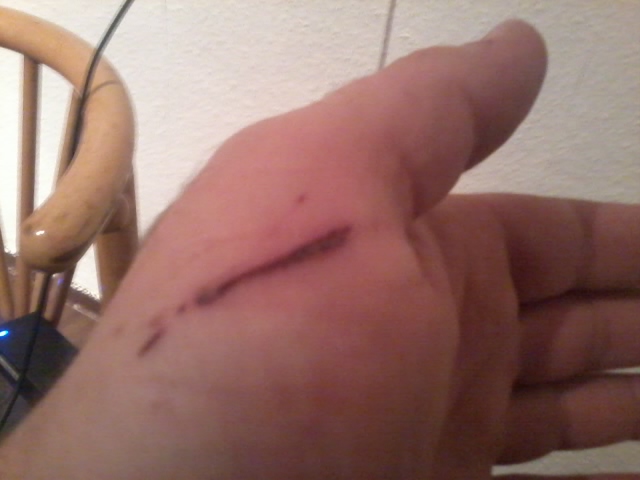 2015-11-08 18.49.34.jpg