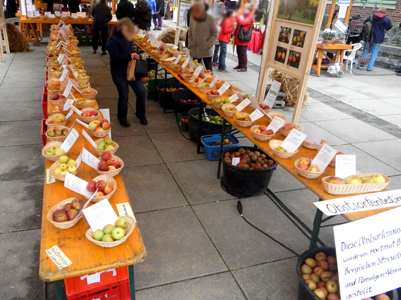 Äpfel? Ja pomologisch!