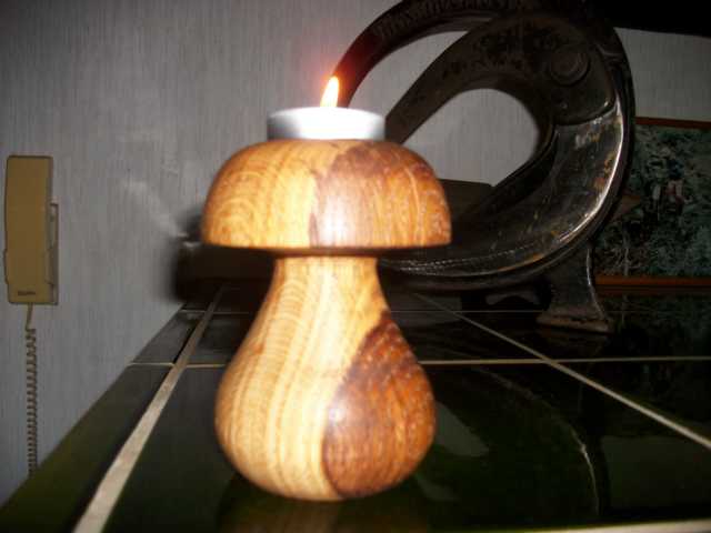 K640_pilz.JPG