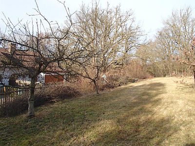 zaun2016.jpg