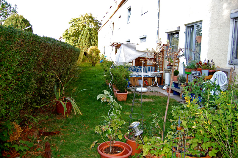 DSC_6586 kle.jpg
