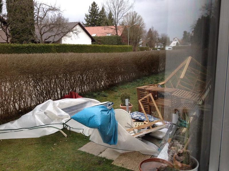 laube nach niklas kle.jpg